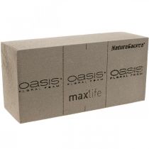 OASIS® BIOLIT® NatureSource ladrillo espuma floral 23cm×11cm×7cm 10 piezas