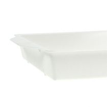 Artículo Bandeja de enchufes OASIS® blanca 23cm x 11,5cm x 2,5cm 5 piezas