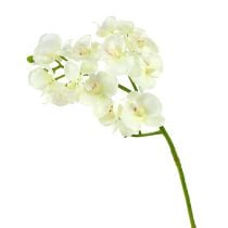 Orquídea blanco crema L57cm 6pcs