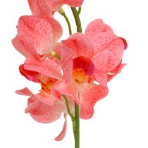 Artículo Orquídea Mokara Salmón 50cm 6uds
