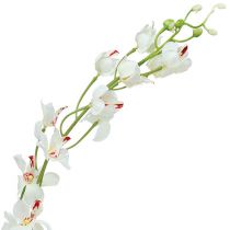Artículo Orquídea Mokara Blanco 92cm 3pcs