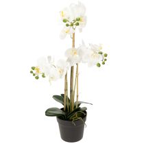 Artículo Orquídea artificial en maceta para un ambiente armonioso, blanca, 60cm