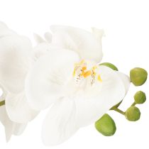 Artículo Orquídea artificial en maceta para un ambiente armonioso, blanca, 60cm