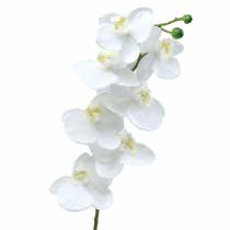 Artículo Orquídea artificial flor artificial blanca Ø6,5-8cm 77cm