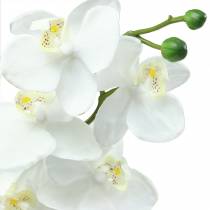 Artículo Orquídea artificial flor artificial blanca Ø6,5-8cm 77cm