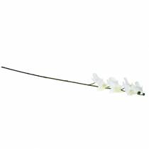 Artículo Orquídea artificial flor artificial blanca Ø6,5-8cm 77cm
