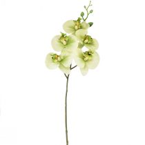 Orquídea Artificial Phalaenopsis Verde Amarillo 85cm