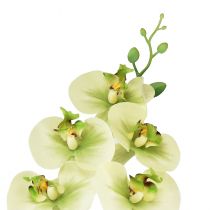 Artículo Orquídea Artificial Phalaenopsis Verde Amarillo 85cm