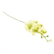 Artículo Orquídea Artificial Phalaenopsis Verde Amarillo 85cm