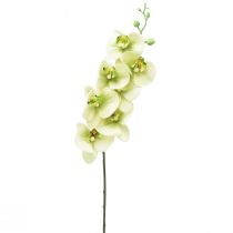 Orquídea Artificial Phalaenopsis Verde Amarillo L83cm