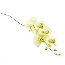 Artículo Orquídea Artificial Phalaenopsis Verde Amarillo L83cm