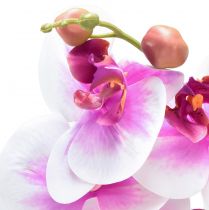 Artículo Orquídea Artificial Phalaenopsis 4 Flores Blanco Rosa 72cm