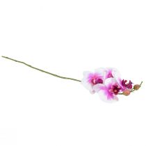 Artículo Orquídea Artificial Phalaenopsis 4 Flores Blanco Rosa 72cm