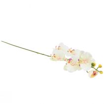 Artículo Orquídea Phalaenopsis artificial 6 flores crema rosa 70cm