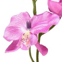 Artículo Orquídea Phalaenopsis artificial 6 flores violeta 70cm
