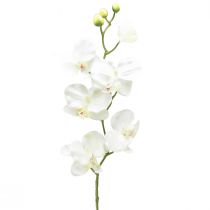 Artículo Orquídea Phalaenopsis artificial 6 flores blanco crema 70cm