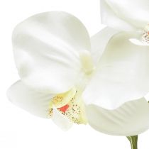 Artículo Orquídea Phalaenopsis artificial 6 flores blanco crema 70cm