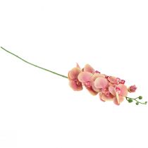 Artículo Orquídea Phalaenopsis artificial 9 flores rosa vainilla 96cm