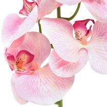 Artículo Orquídea Phalaenopsis artificial 9 flores rosa blanco 96cm