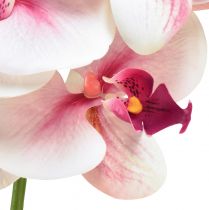 Artículo Orquídea Phalaenopsis artificial 9 flores blanco fucsia 96cm