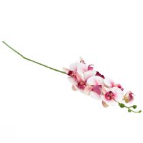Artículo Orquídea Phalaenopsis artificial 9 flores blanco fucsia 96cm