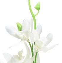 Artículo Orquídeas artificiales Oncidium flores artificiales blancas 90cm