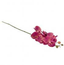 Artículo Orquídea artificial Phalaenopsis Orquídea Fucsia 78cm