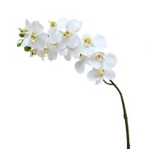Artículo Rama de orquídea blanca L58cm