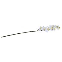 Artículo Rama de orquídea blanca L58cm