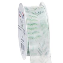 Artículo Cinta de organza, cinta de gasa, ramas frondosas, verde, 40 mm, 15 m