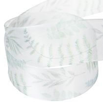 Artículo Cinta de organza, cinta de gasa, ramas frondosas, verde, 40 mm, 15 m