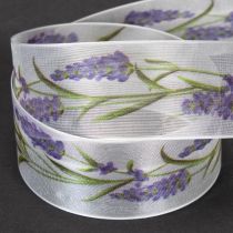 Artículo Cinta de organza, cinta de gasa, cinta decorativa, lavanda, 40 mm, 20 m