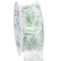 Artículo Cinta de organza, cinta de gasa, cinta verde para plantas, 40 mm x 15 m