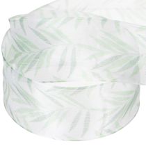 Artículo Cinta de organza, cinta de gasa, cinta verde para plantas, 40 mm x 15 m