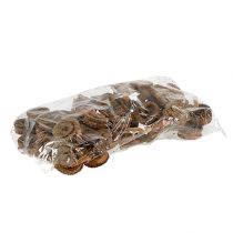 Artículo Palma Macho Naturaleza 25uds