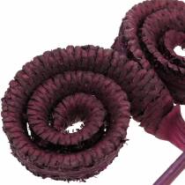 Artículo Decoración seca palma macho vino tinto 25uds