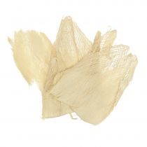 Fibra de palma blanqueada 250g