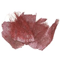 Artículo Fibra de palma para manualidades color burdeos lavado 20-40cm 250g