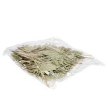 Artículo Palmspear Sun mini nature 50 piezas