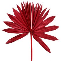 Artículo Palmspear Sol Rojo 30uds