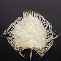 Artículo Hojas de palma secas decorativas blanqueadas 45cm 5 uds