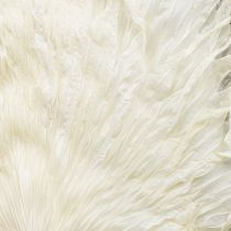 Artículo Hojas de palma secas decorativas blanqueadas 45cm 5 uds