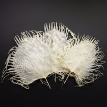 Artículo Hojas de palma secas decorativas blanqueadas 45cm 5 uds