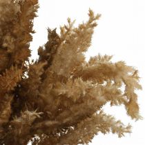 Hierba de pampa artificial marrón decoración seca hierba ornamental 35cm 4 piezas