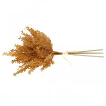 Artículo Hierba de pampa artificial Hierba seca naranja 35cm 4pcs