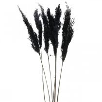 Hierba de pampa negra 65-75cm hierba seca decoración natural 6pcs