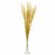 Artículo Hierba de pampa amarilla Hierba ornamental artificial Floristería seca 3 piezas