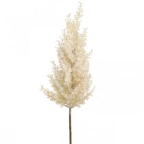 Pampas Grass Cream Artificial Dry Floristics Deco Grass 72cm