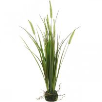 Césped de caña artificial con planta artificial de cepellón Al. 63 cm