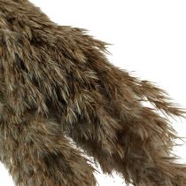 Artículo Hierba de pampa seca decorativa hierba seca natural 95cm 3 piezas